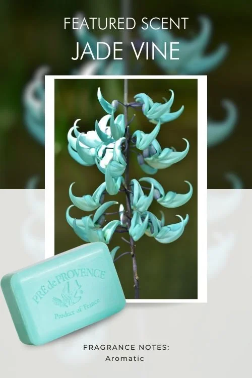 JADE VINE BAR SOAP