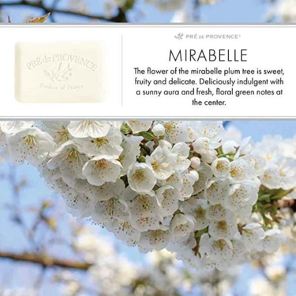 Mirabelle-Blossoms-600.jpg
