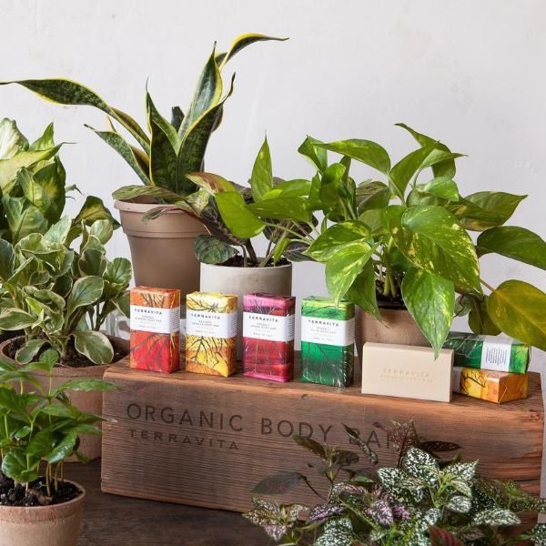 Organic Bar Soap Collection