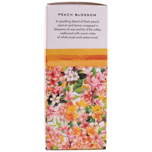 59112-VIA-MERCATO-PRIMAVERA-Peach-Blossom-Petite-Reed-Diffuser-600.jpg