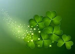 BIT O LUCK DISHTOWEL