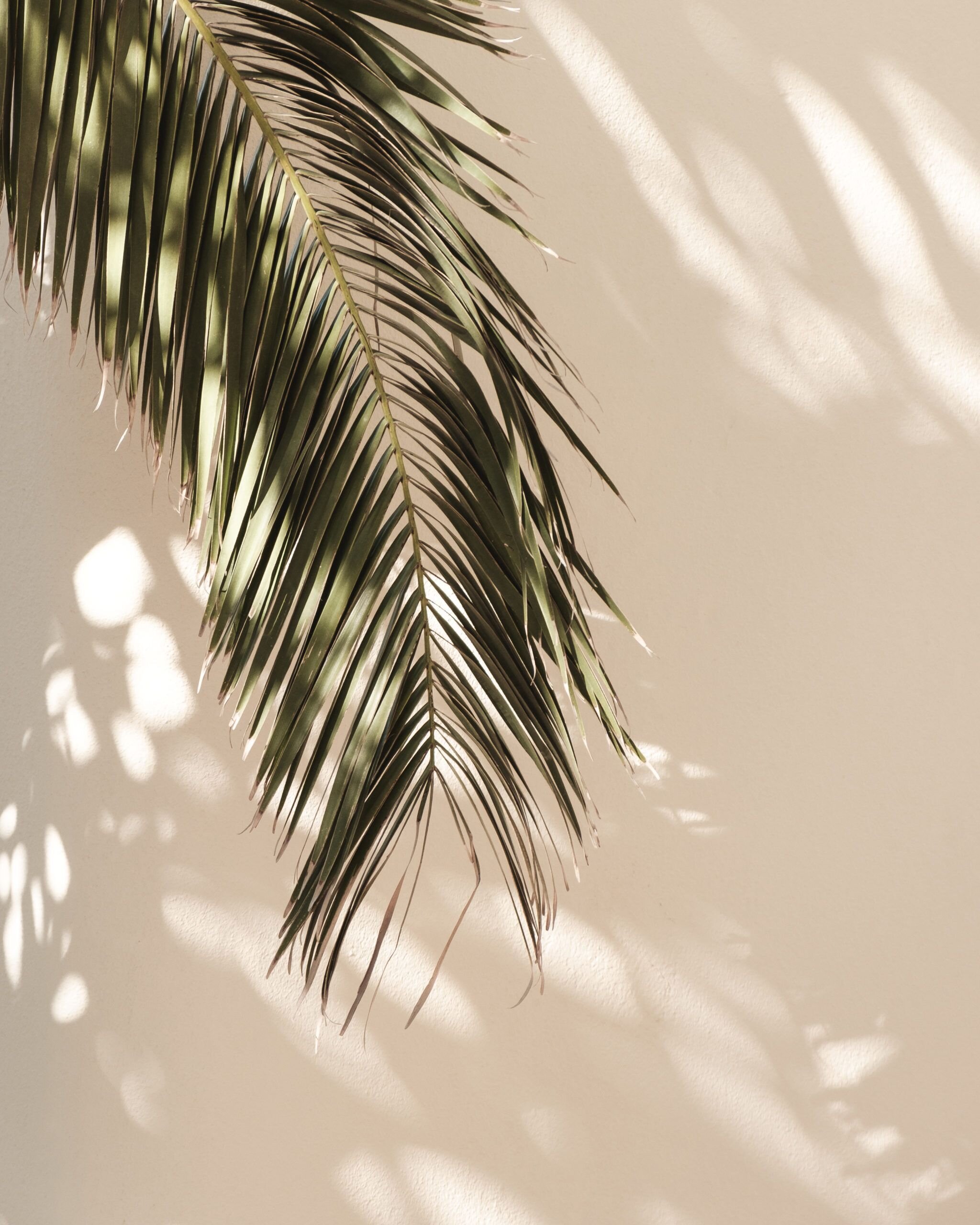 Why Your Personal Brand is Your Most Important Brand
