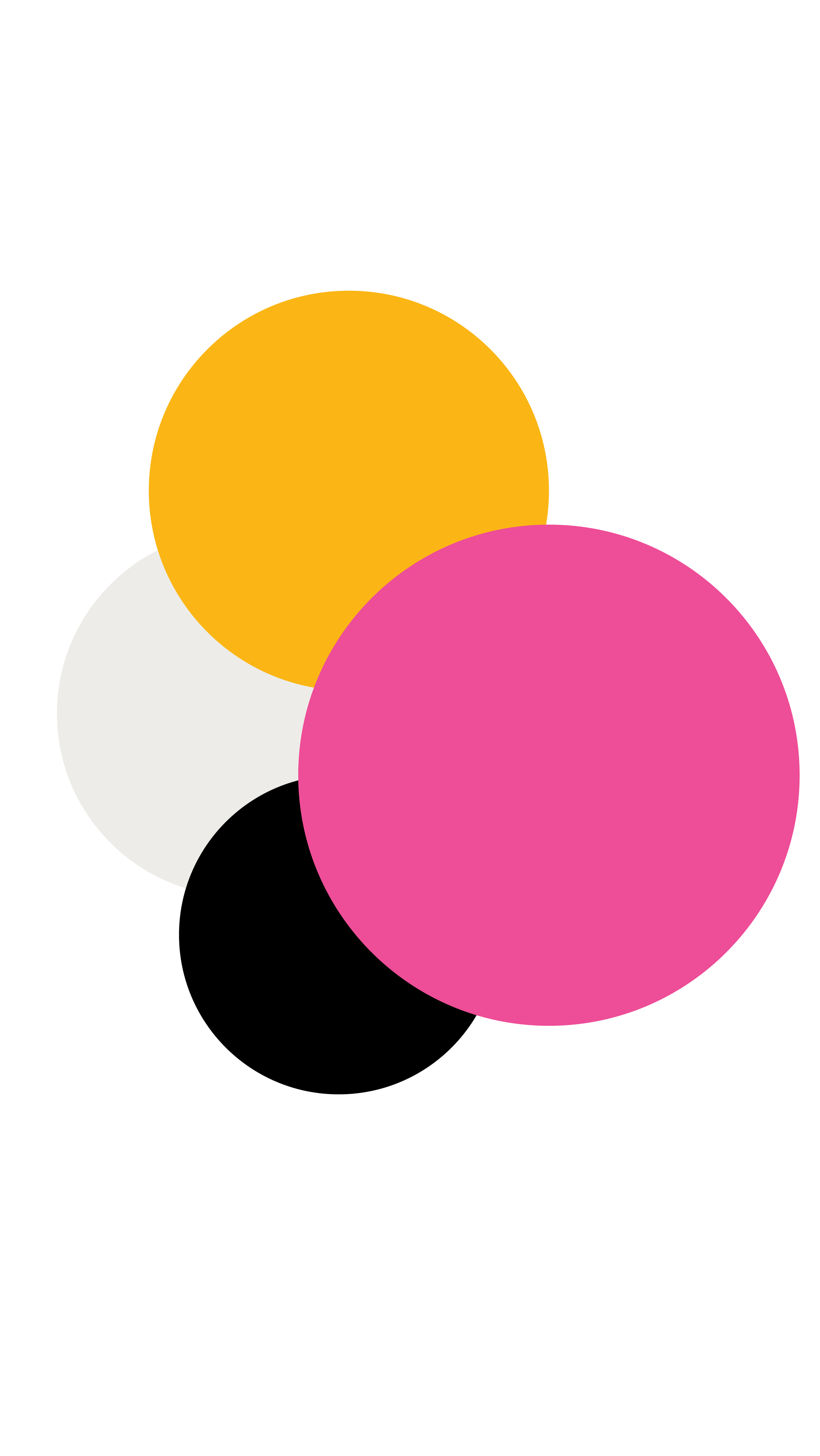 KD primary colors.png