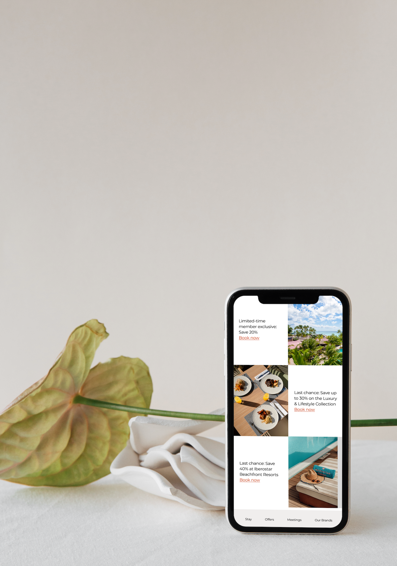 Part of a smartphone screen displaying travel deal promotions with pictures of a tropical landscape, food, and beach resort, placed on a white surface next to a plant with large, light green leaves.