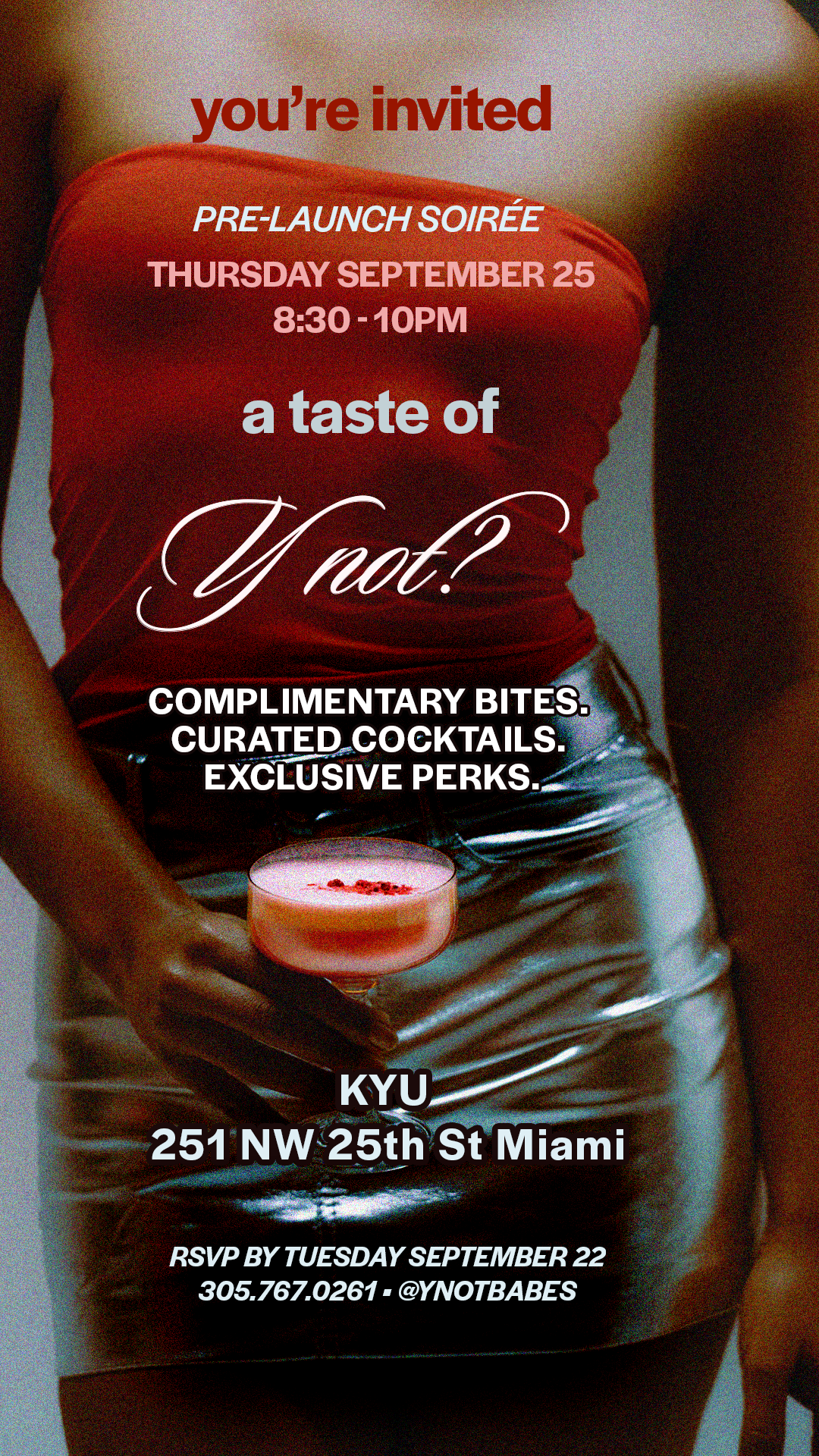 Y-Not-Soiree-Pre-Launch.png
