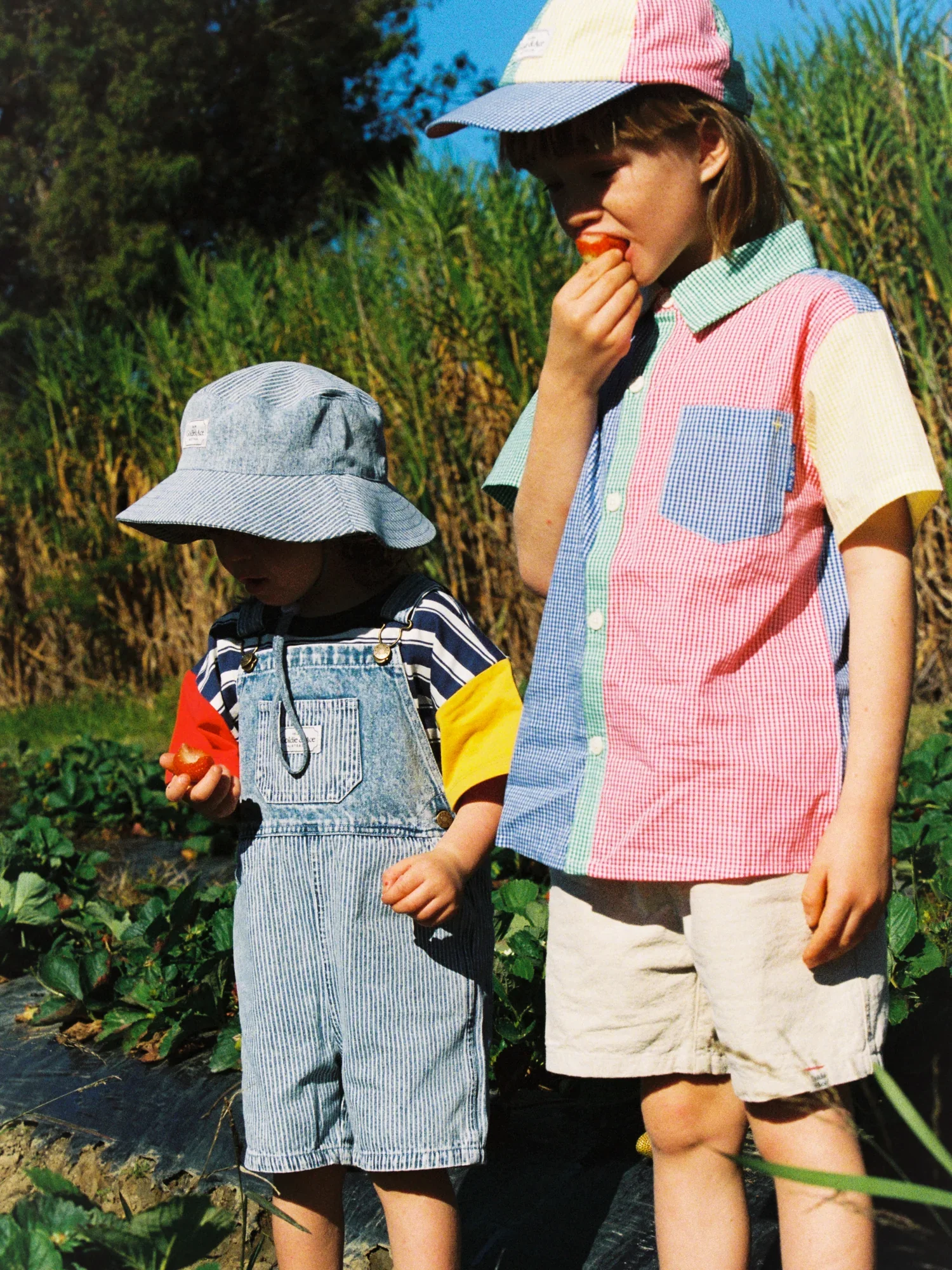 20052GA001_30010GA004_90004GA0039_0001GA010_20053GA004_00002GA013_02.webp