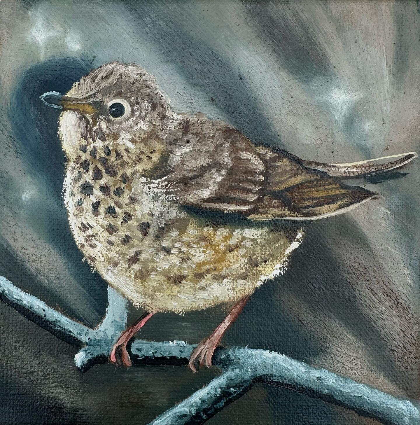 Hey y&rsquo;all, this should go without saying but PLEASE don&rsquo;t steal from artists and small business owners. My little Swainson&rsquo;s Thrush painting has gone missing and I have good reason to believe that it was stolen during a recent marke