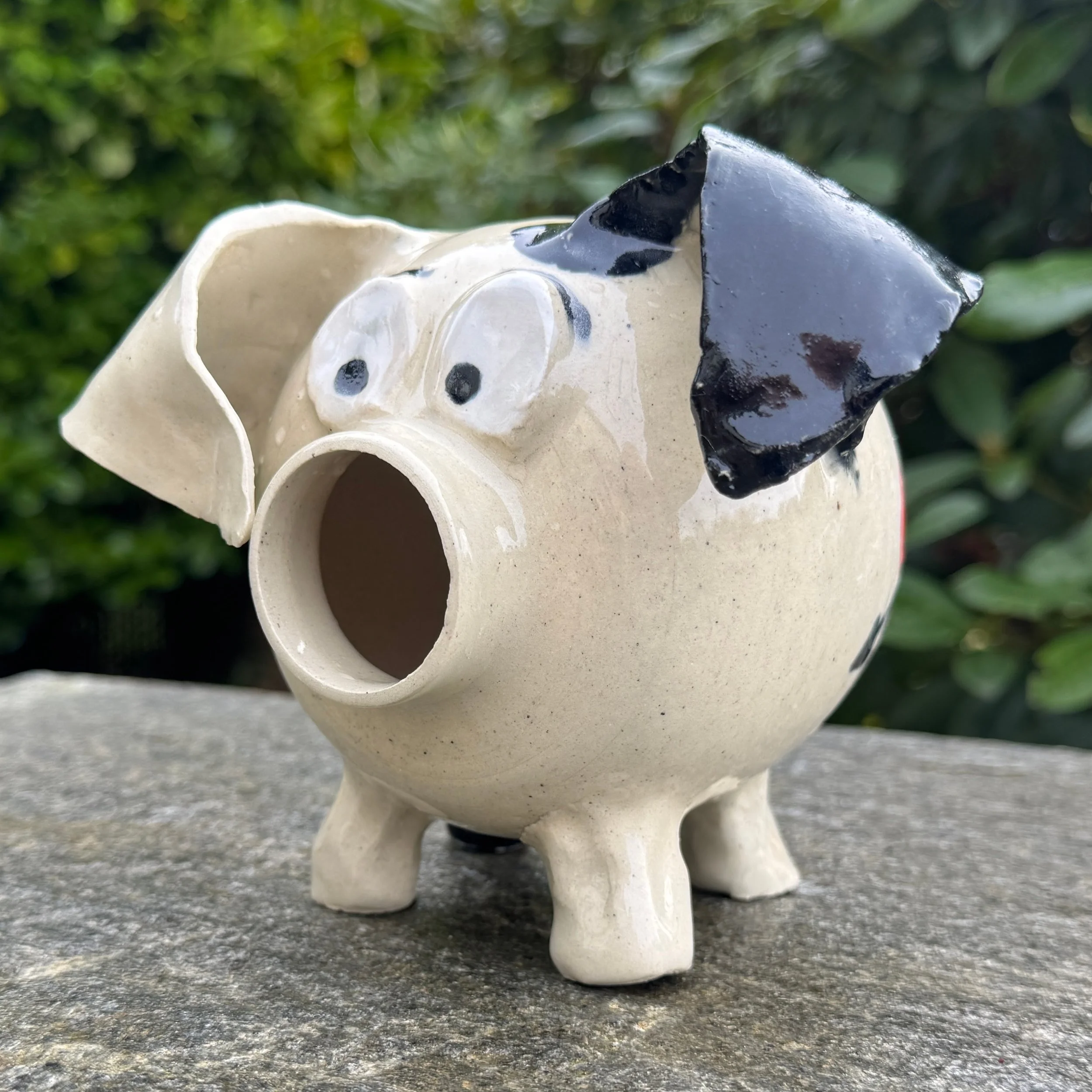 A ceramic piggy bank, with a wide open flat nose, big cartoonish eyes, and floppy ears. One ear is glazed black, the rest of the pig is an off-white tan color, except the eyes which are bright white.