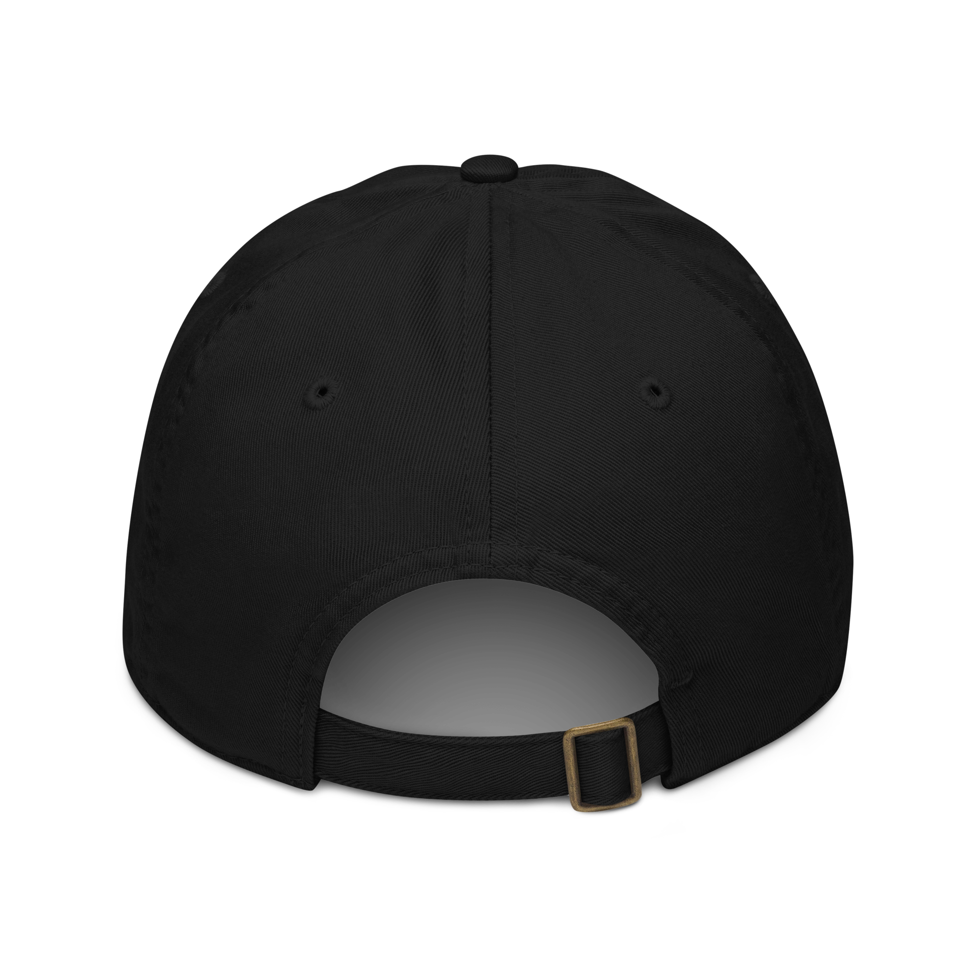 organic-baseball-cap-black-back-686407eb5bfad.png