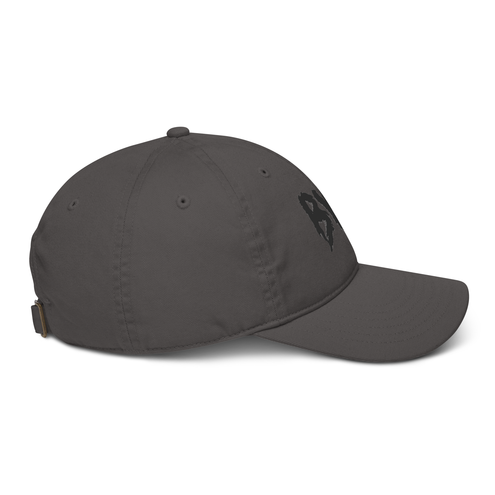 organic-baseball-cap-charcoal-right-686407eb5d246.png