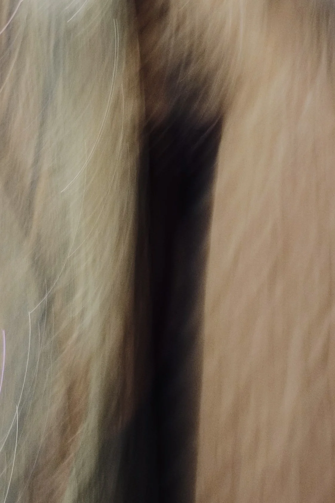 C35DA86D-E6CA-4C8D-BD14-C997C2FE4EB3.jpeg