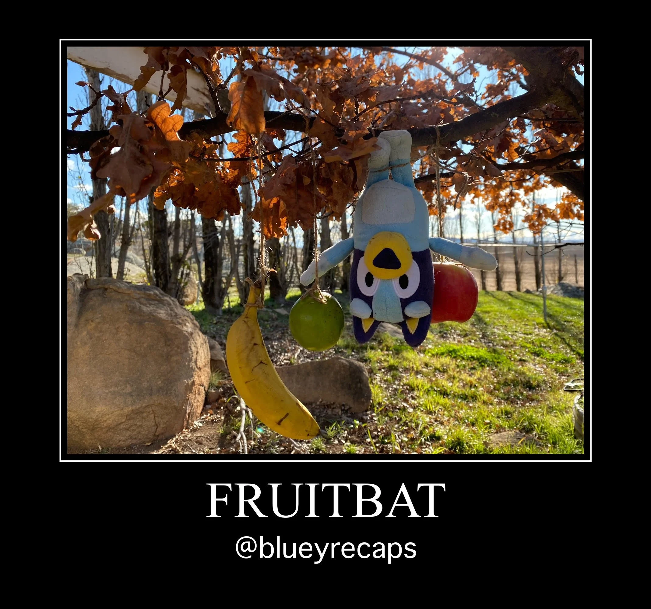Bluey Episode Recaps Season One Episodes 1 12 Bluey Recaps