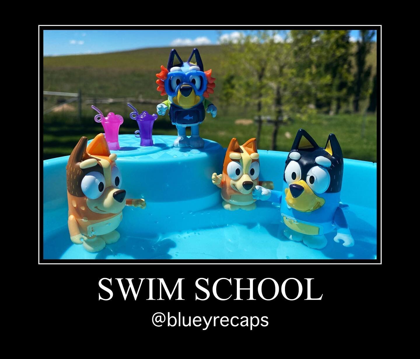 Bluey Recap: Swim School (#2.39)
#bestbits: Bandit rolling into the pool to avoid a difficult conversation
#lifelesson: dobbing is ok if someone is in danger, and don&rsquo;t pee in the pool 
.
The Heeler&rsquo;s are on holiday and Chilli and Bandit 