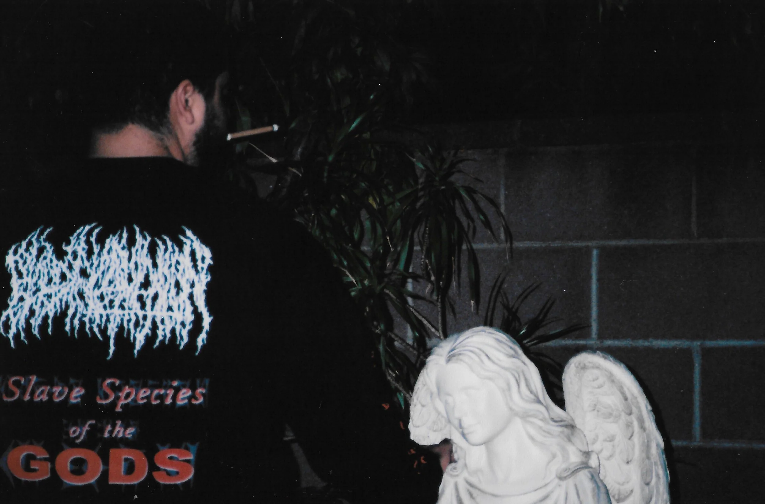 devil on my shoulder, what would you do?