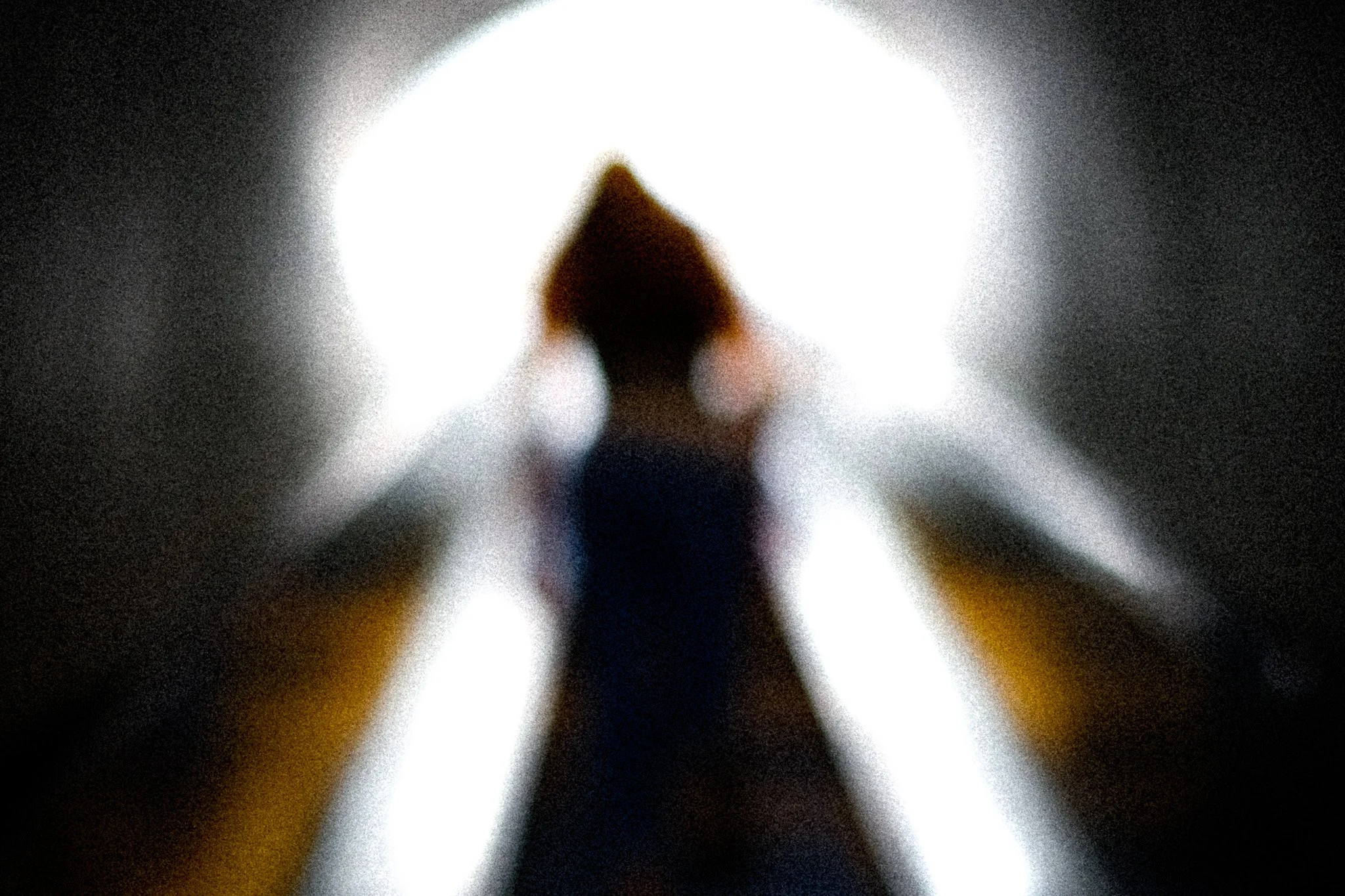 journée avec le musée