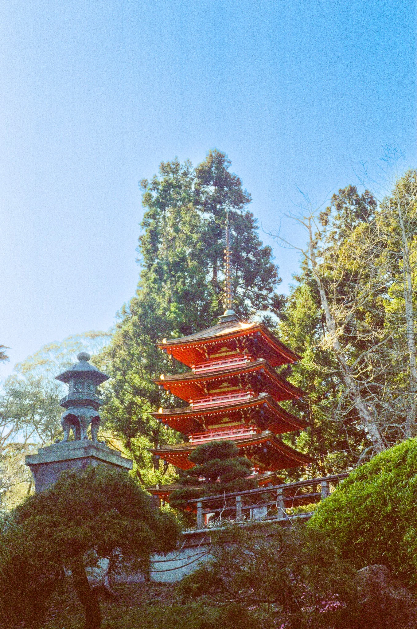 shabuya. cine jpg.jpg