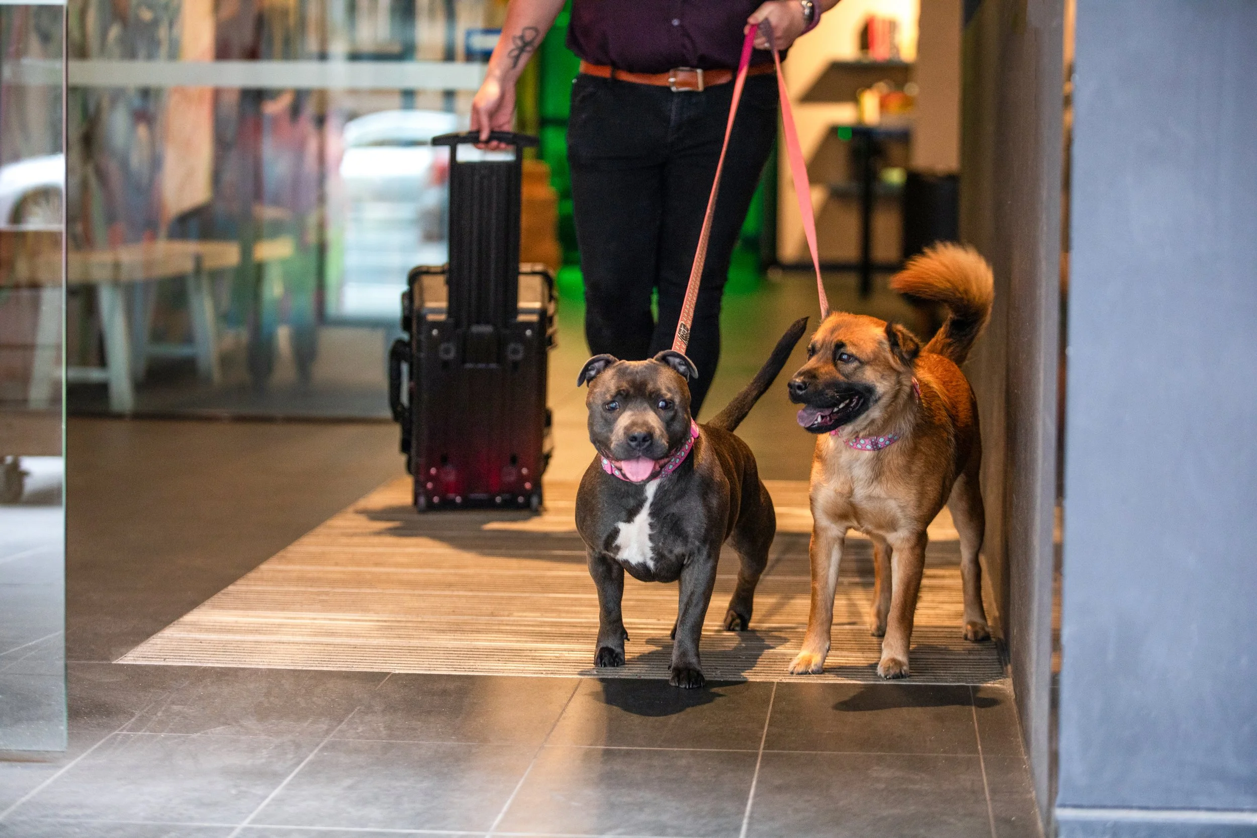 Ink Hotel Melbourne Southbank