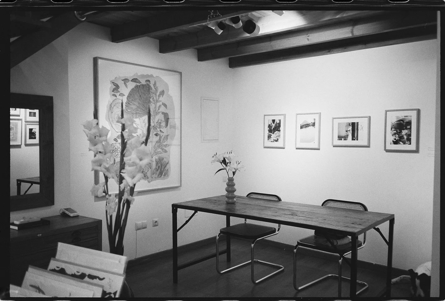 Recuerdos en blanco y negro de nuestra expo Diarios de Invierno, presentada en el marco del Festival de M&aacute;laga @mafmalaga 🤍 Artistas: @judithnaess y @martas.studio