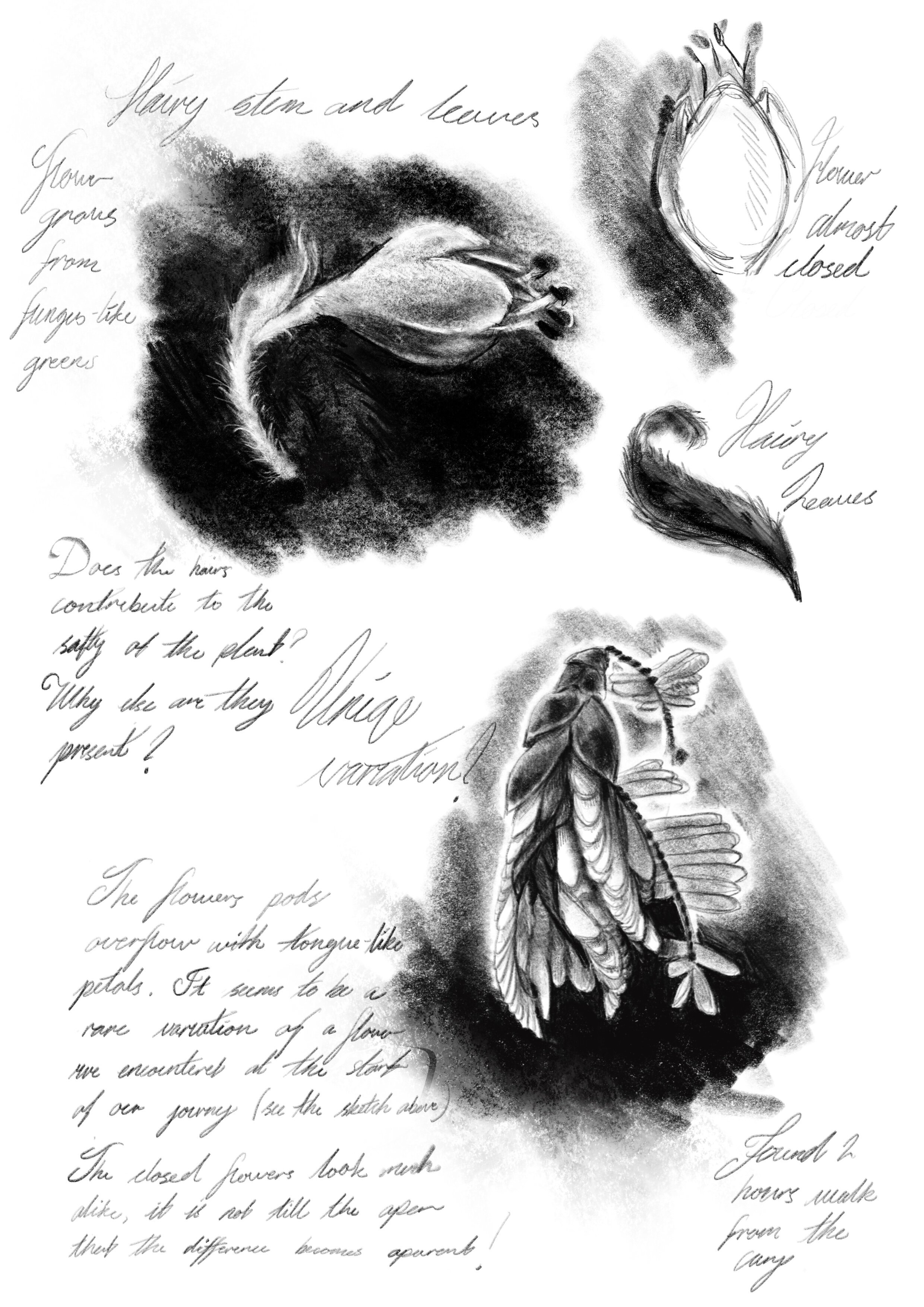 P10.jpg