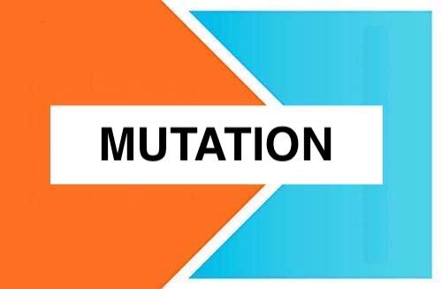 Arrow - Mutation.jpg