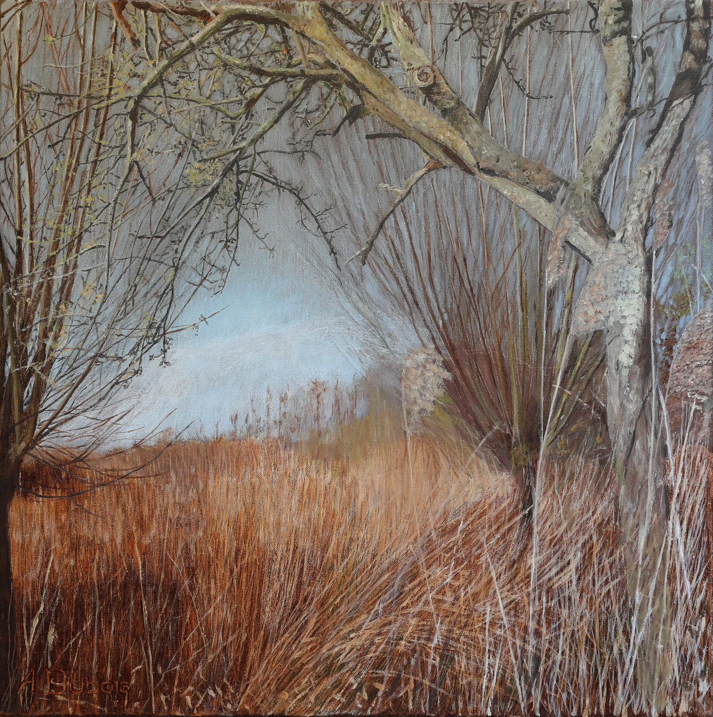By the Ebelsweg 49 x 49 cm