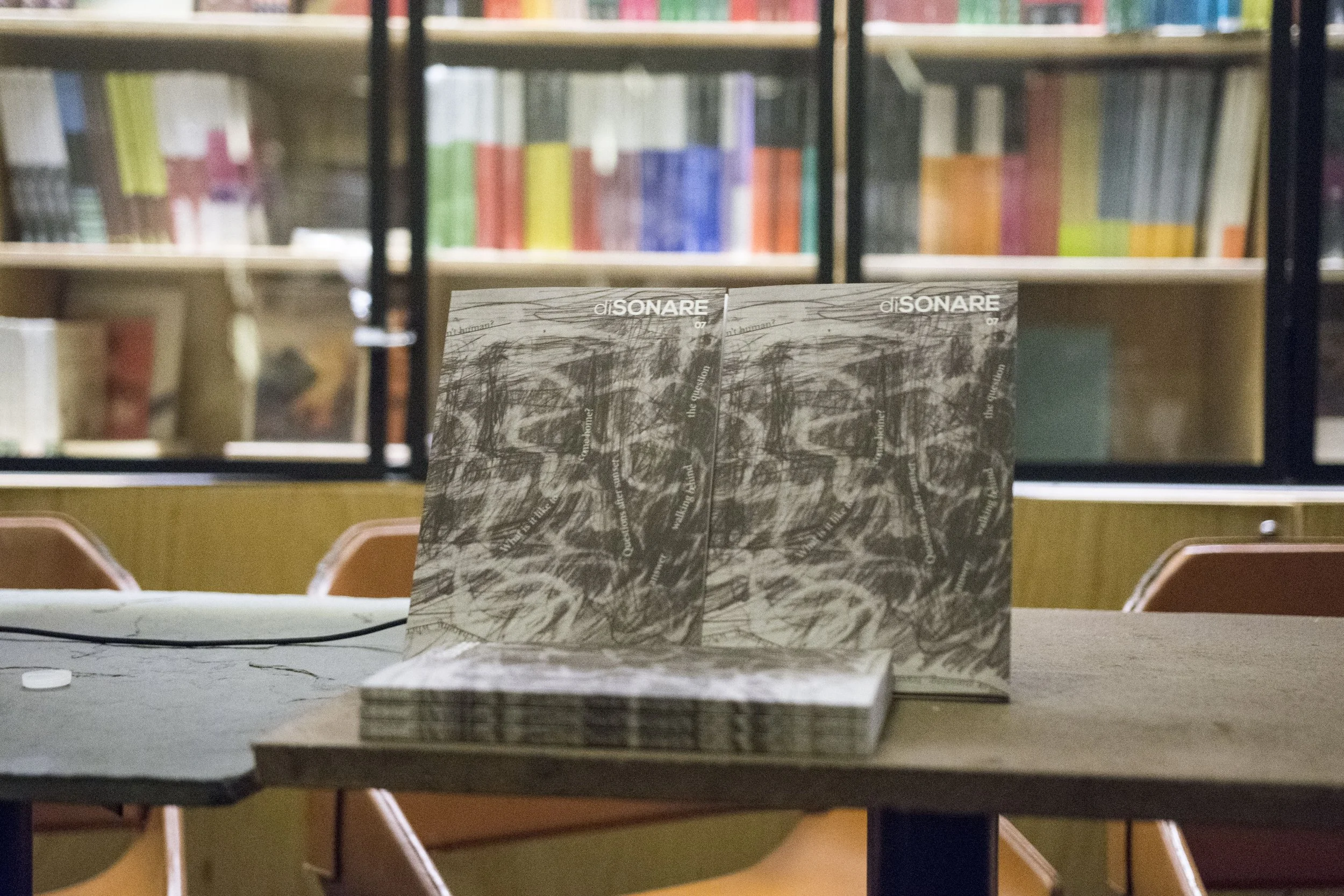 Diso 11deEnero_5.JPG