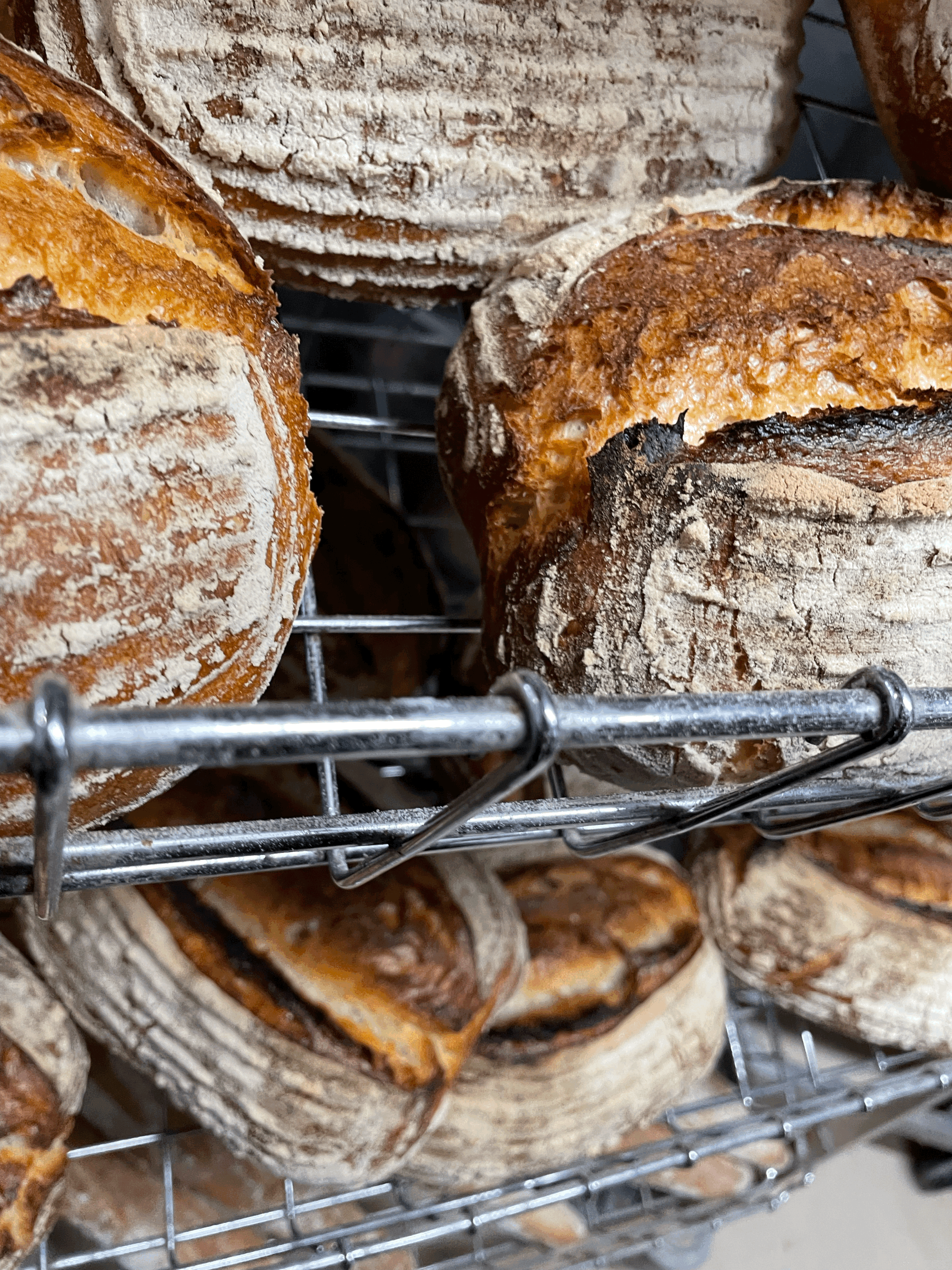 Large White Sourdough