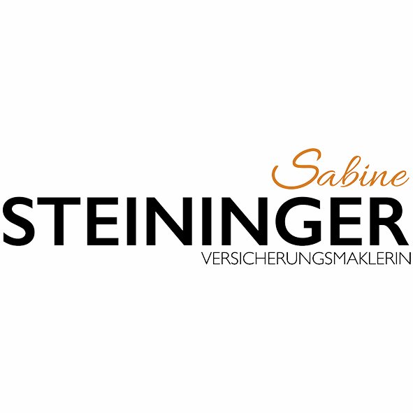 HQ-Kids Camp Sponsor Steininger.jpg