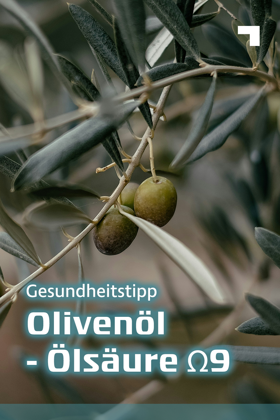 Olivenöl - Ölsäure Ω9