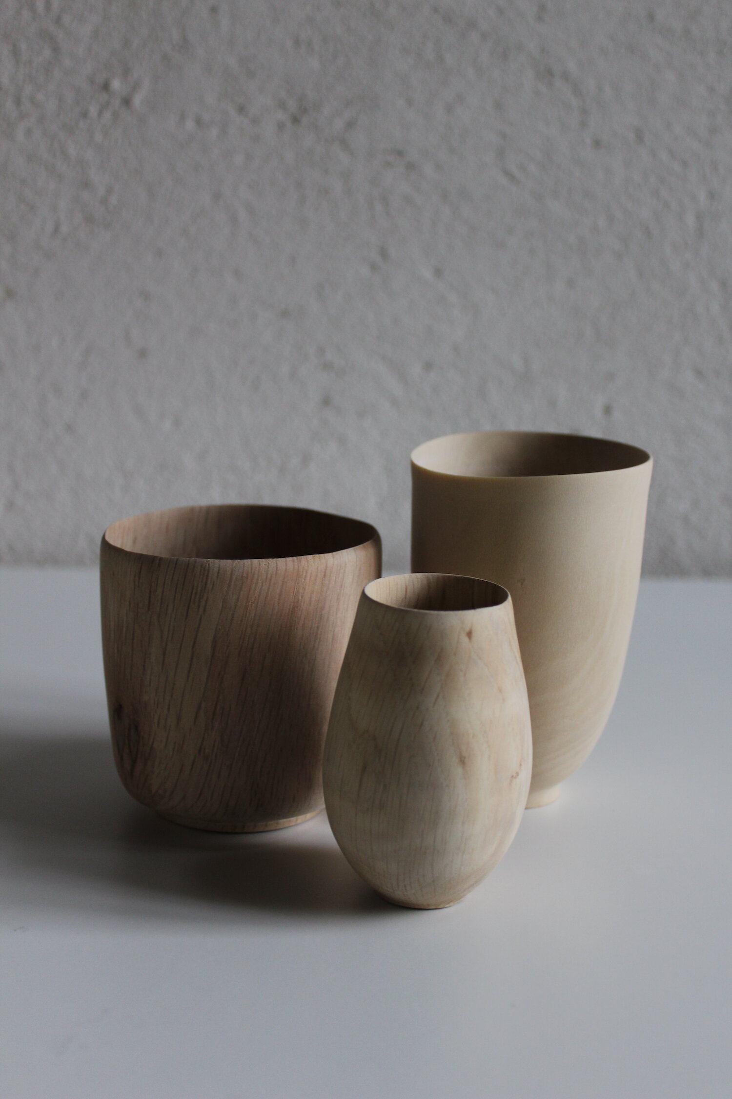 wood vessels.jpeg