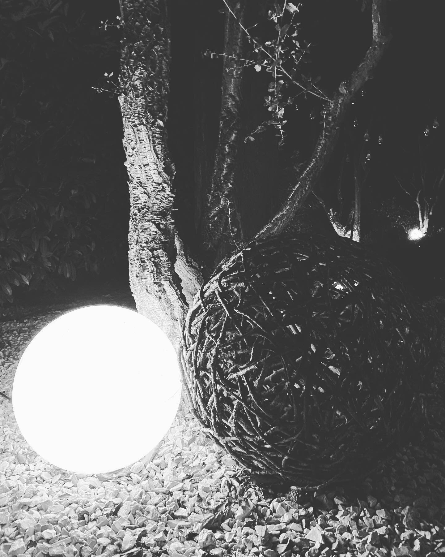 Merry christmas 🎅we are on holiday take care See you next year #christmas #holiday #newyearseve #garden #light #luzern