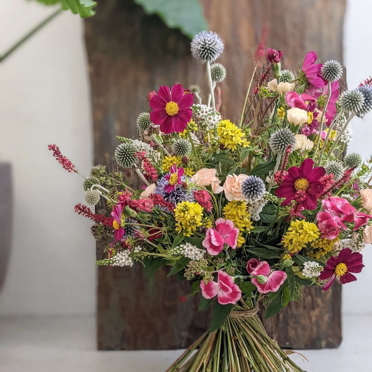 Wir sind aus der Sommerpause zur&uuml;ck! Morgen Samstag haben wir wieder ab 10 Uhr f&uuml;r euch ge&ouml;ffnet!

Wir freuen uns auf euren Besuch! 🤗

#ateliergr&uuml;nraum #steinenstrasse #floristik #blumenstrau&szlig; #blumen #blumenladen #flowers 