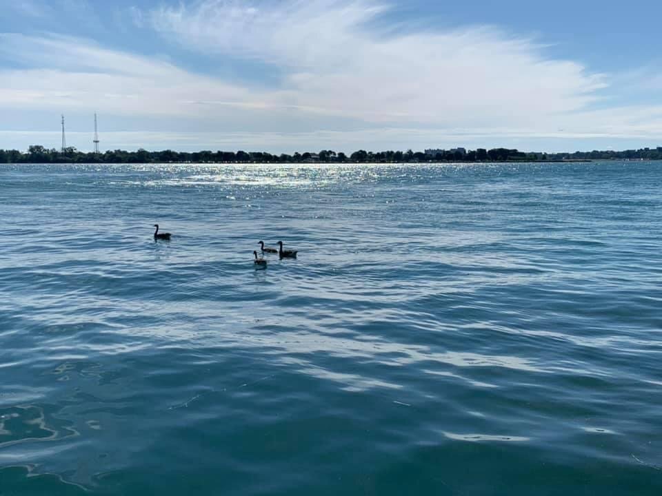 Cruising by Kristi K-H