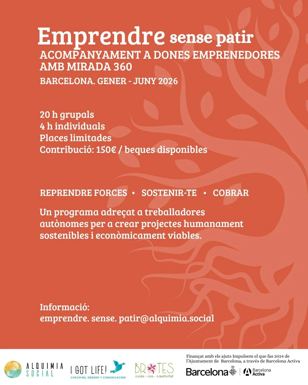 Empendre sense patir. Acompanyament a dones emprenedores