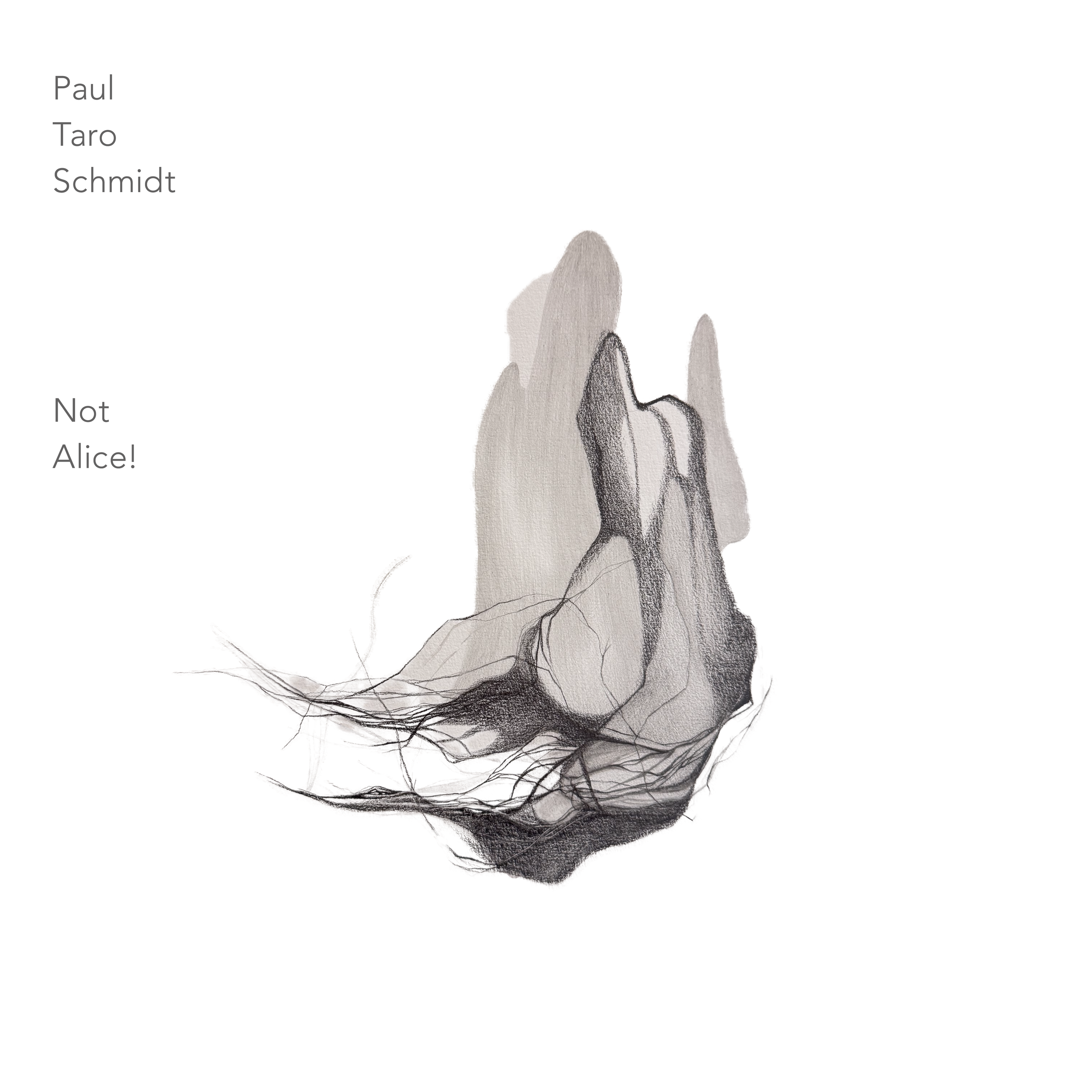 Not Alice! (2026) | Paul Taro Schmidt | soundtrack