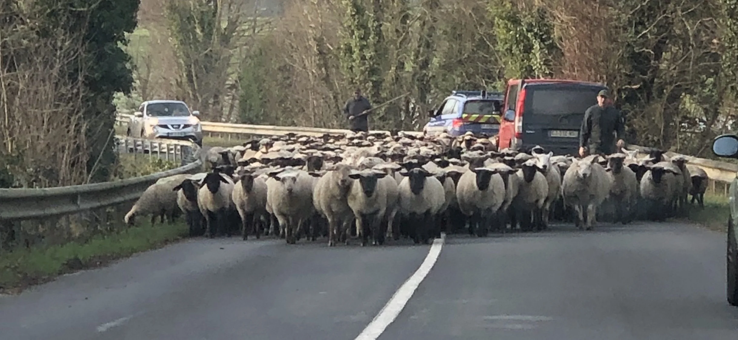 Afficher les photos récentes (2).png