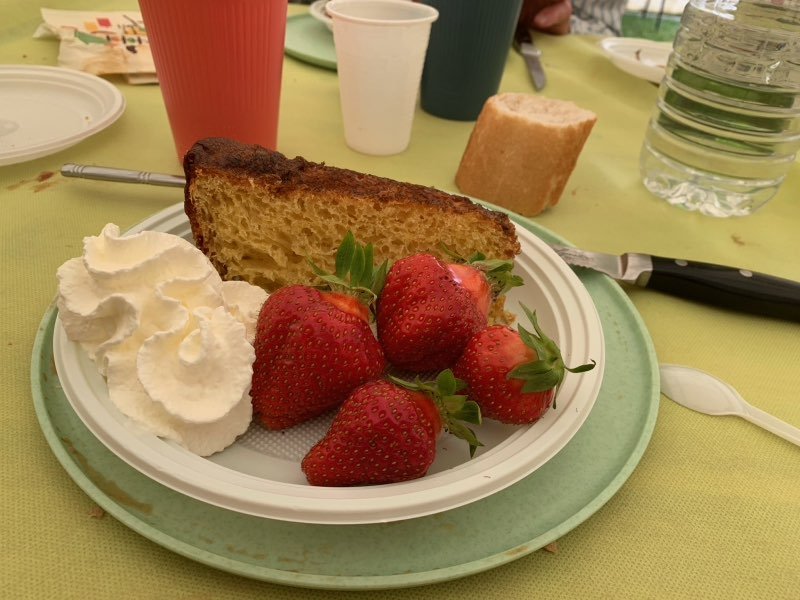 IMG_3979.jpg