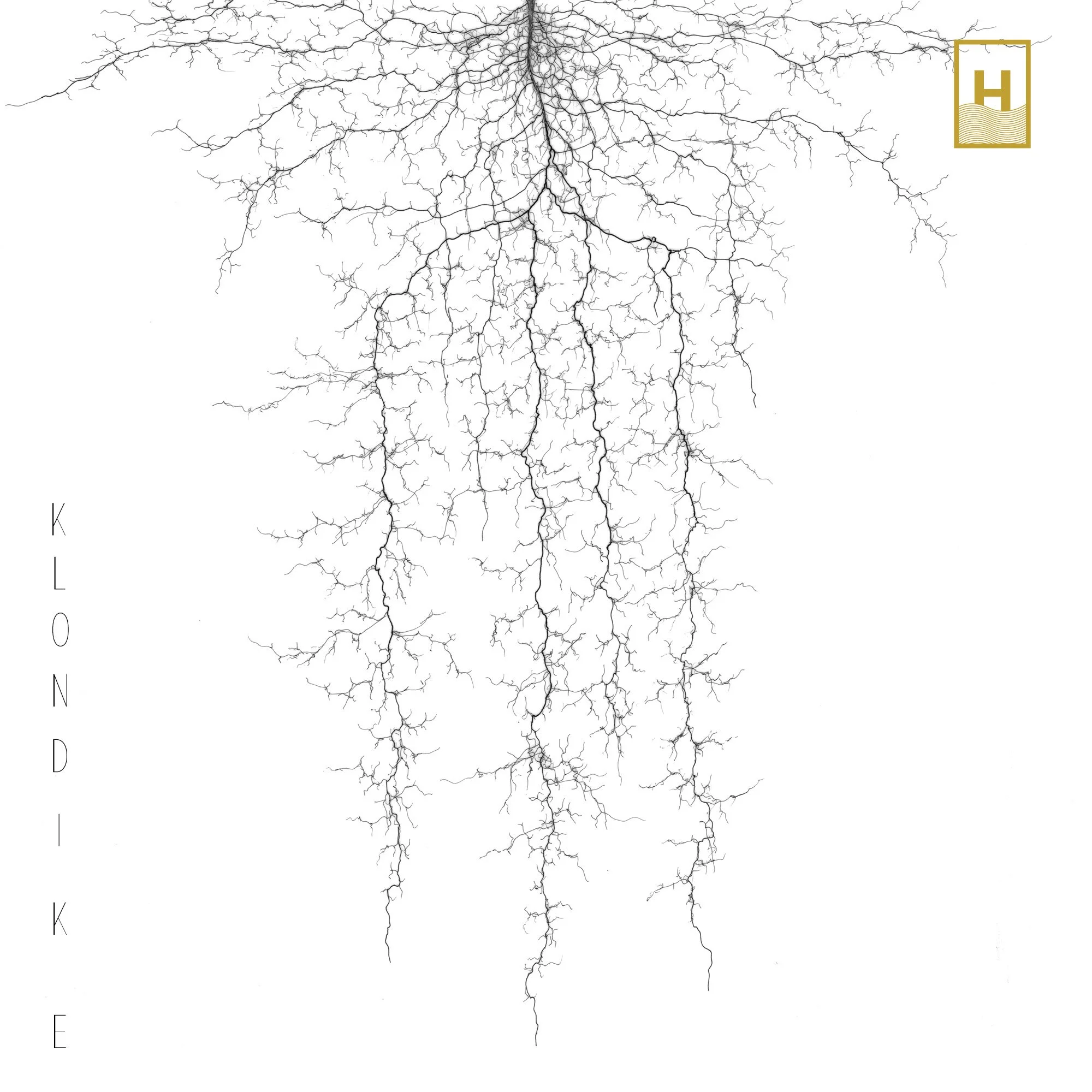 Francesco Fiorenzani // Klondike