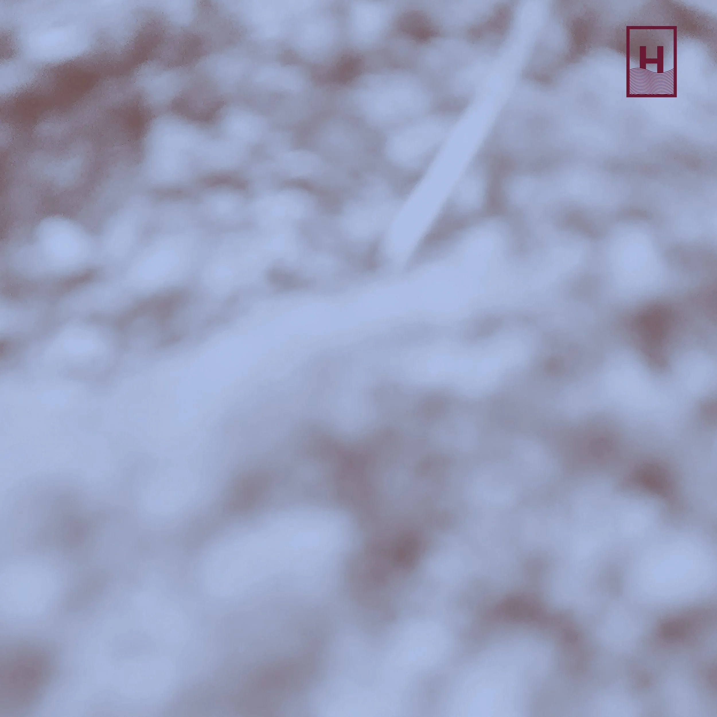 Roberto Pianca // Fossils