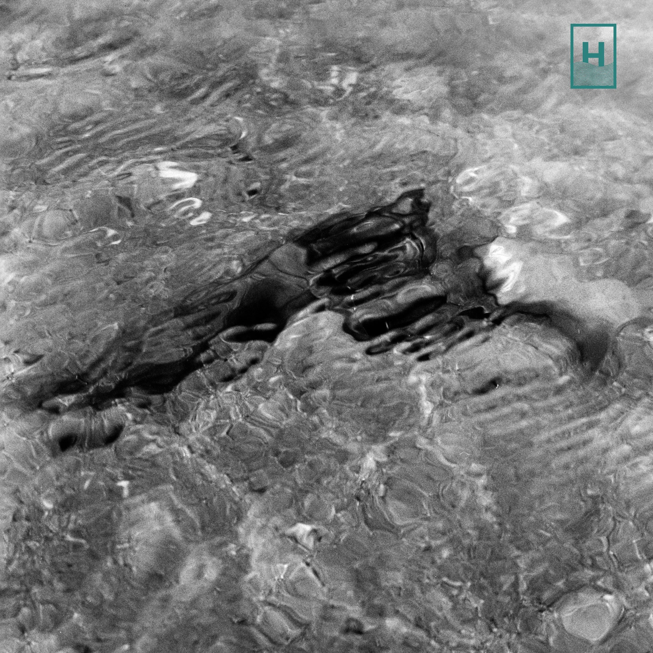 Flotsam // Cowboys Can’t Swim