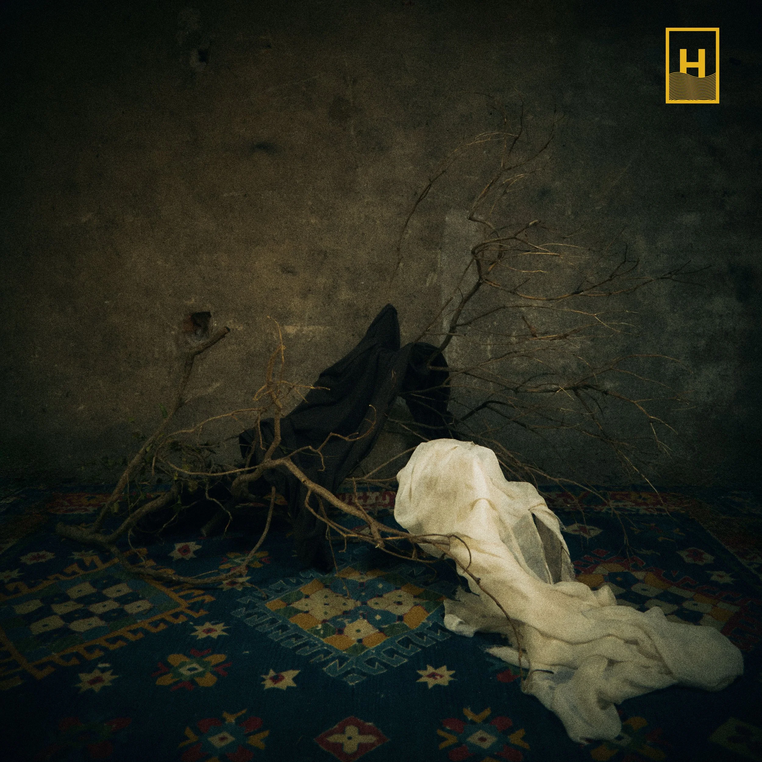 Alfonsina // Naked Roots