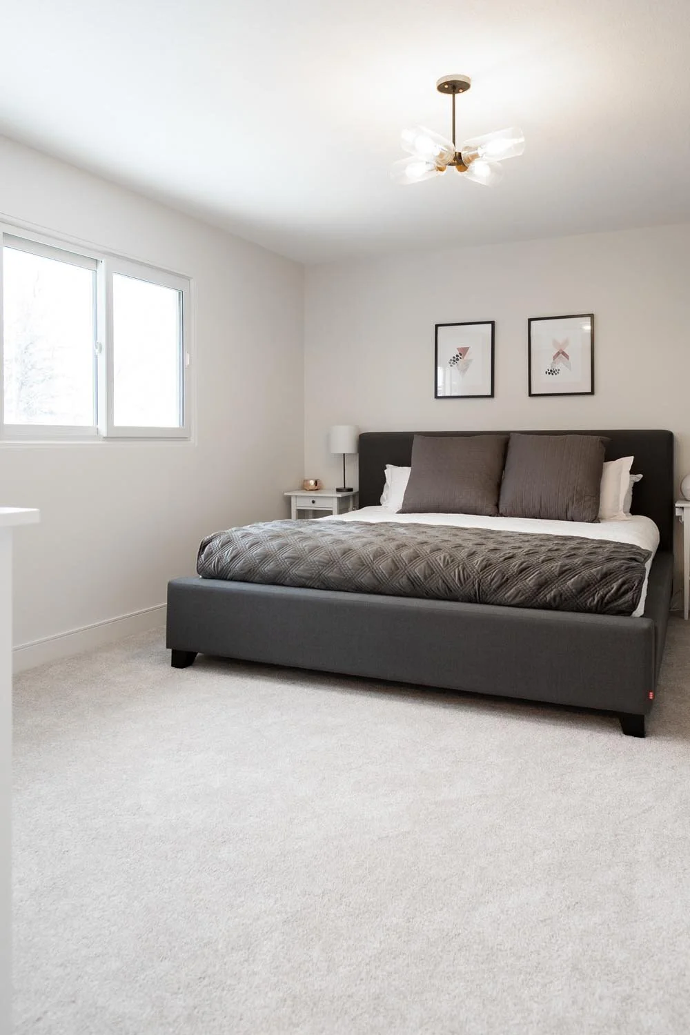 Dalhousie Place — Studios