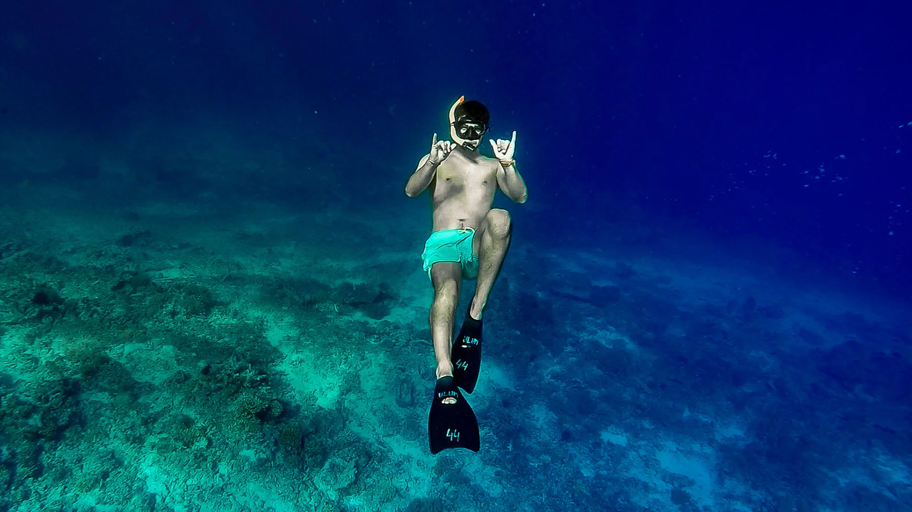 Screenshot 2019-11-21 at 15.33.46.jpg