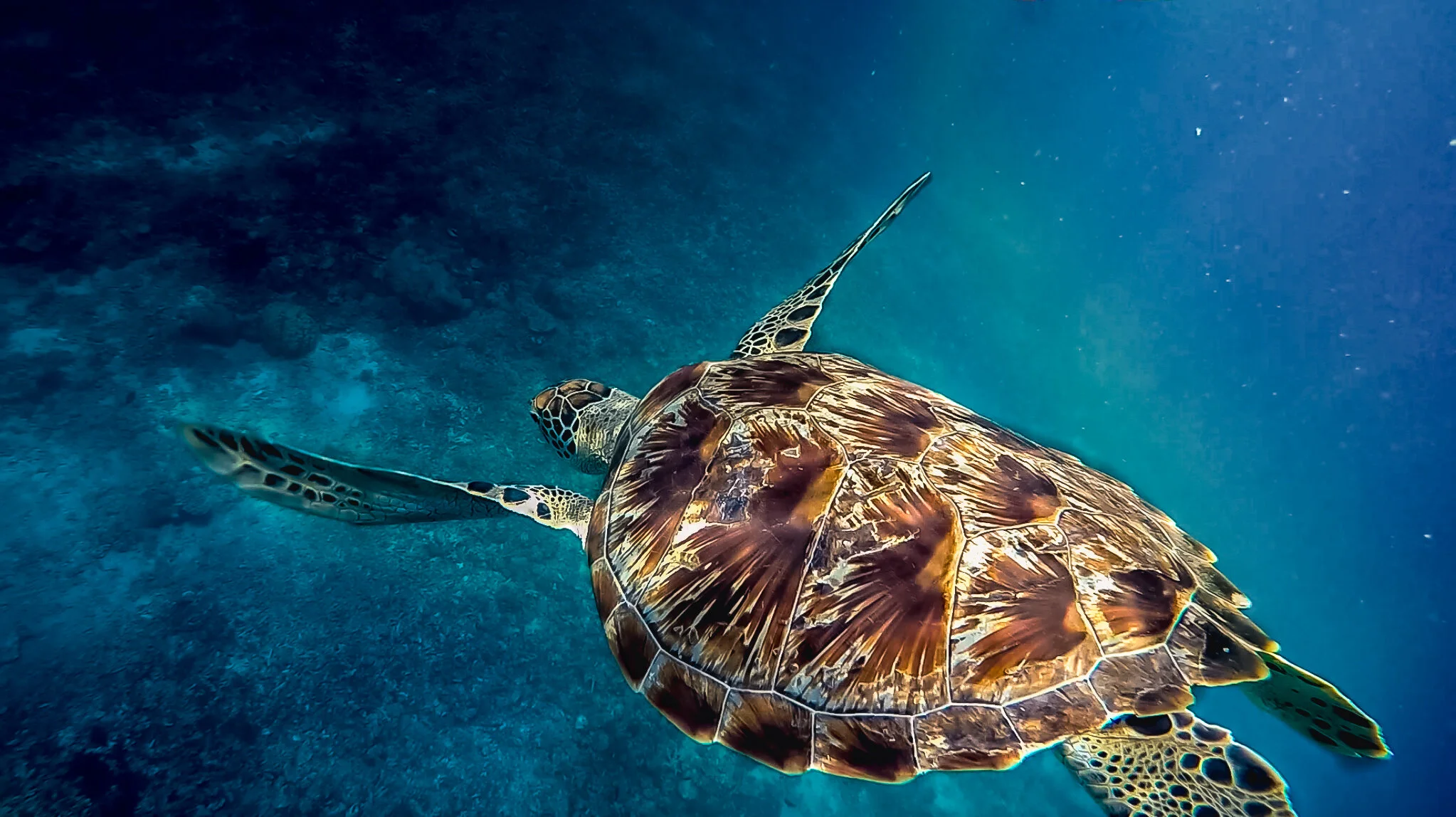 Screenshot 2019-11-21 at 15.47.47.jpg