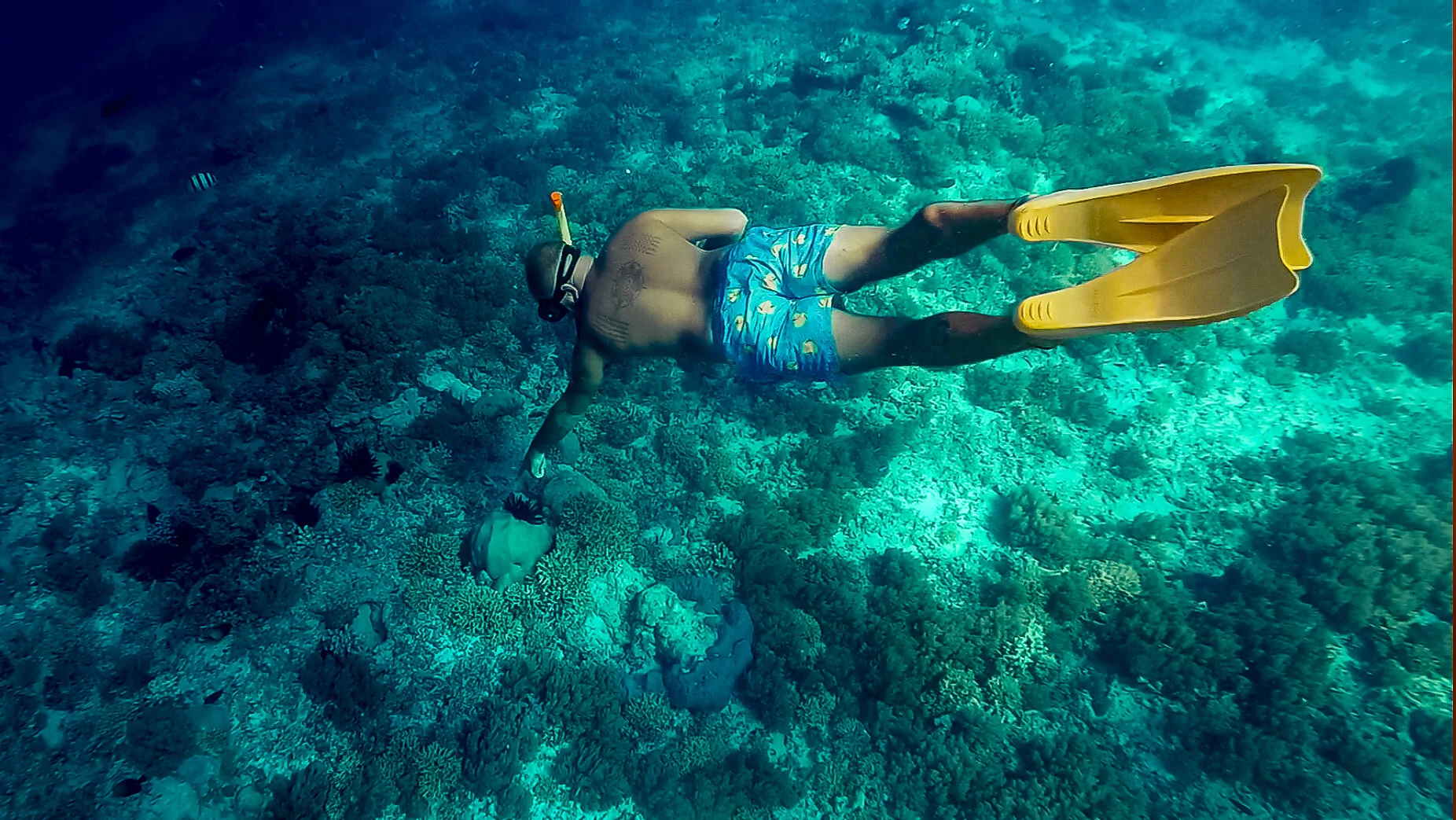 Screenshot 2019-11-21 at 15.31.27.jpg