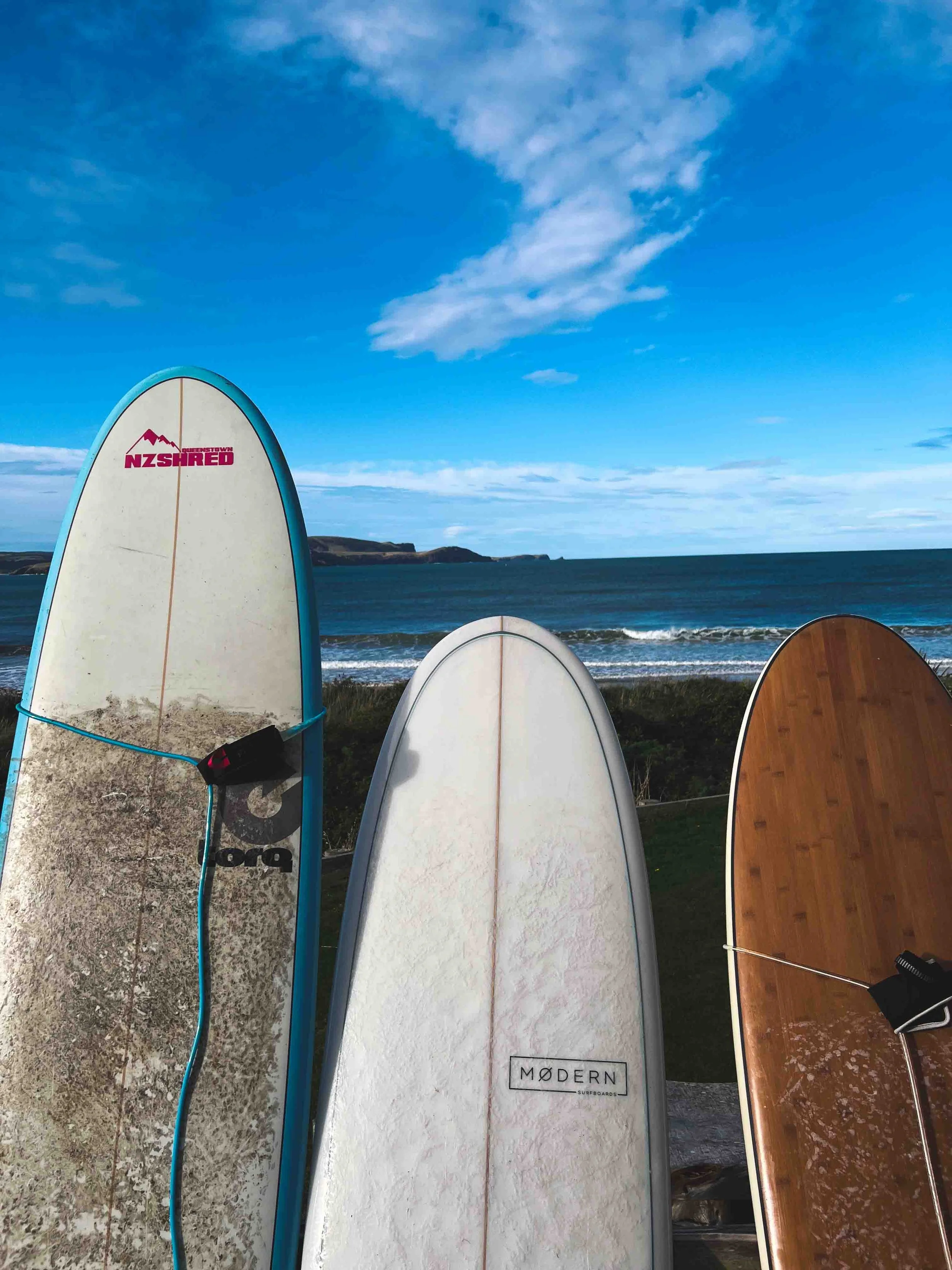 Surfboards lined up at the beach with ocean and blue sky in the background.