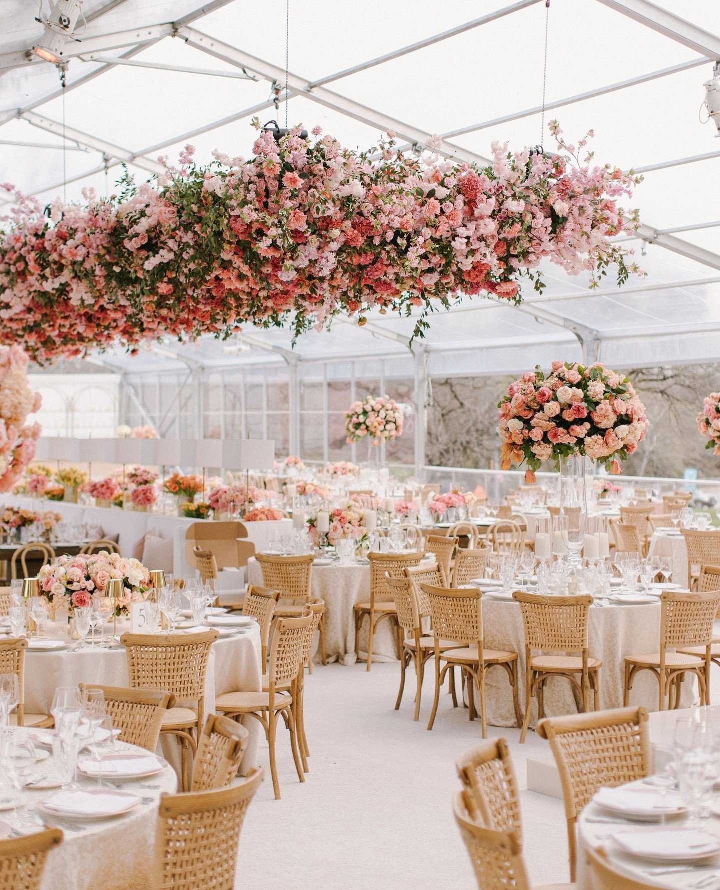A blush-worthy moment for this magical reception.⁠
⁠
#josephwestphotography⁠
⁠
⁠Planner: @kirstinroseevents​⁠
Video: @grandeast.weddings⁠
Floral: @jacksondurhamevents​⁠
Chair &amp; Tabletop Rentals: @poshcouturerentals​⁠
Lighting: @stage2lighting​⁠
C