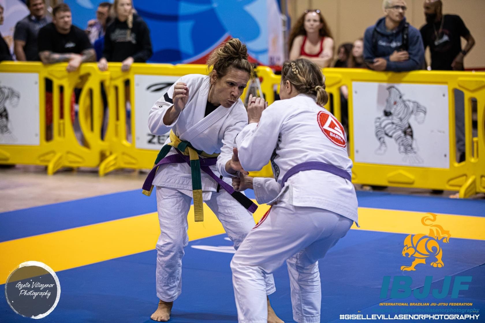 IBJJF  International Brazilian Jiu-Jitsu Federation