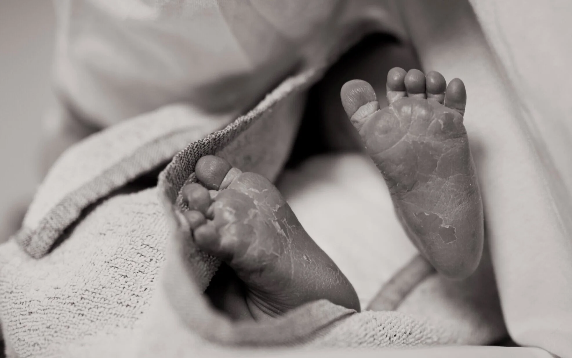 Photo by 🇸🇮 Janko Ferlič on Unsplash