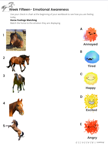 Emotional Regulation